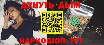 сатива Будённовск