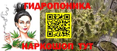 гашик Бузулук